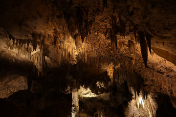 Wall Mural - Rock formations in Carlsbad Caverns National Park, New Mexico