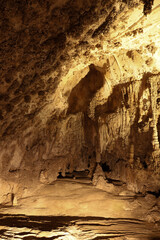 Wall Mural - Rock formations in Carlsbad Caverns National Park, New Mexico