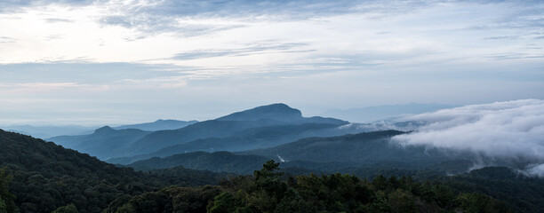 Wall Mural - beautiful landscape with fog. rainforest ecosystem and healthy environment concept background. panor