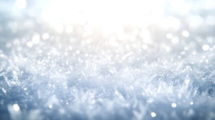 Poster - Glittering frost with soft light creating a serene winter atmosphere.