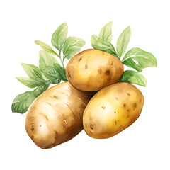 Wall Mural - digital technology potato watercolor design illustration