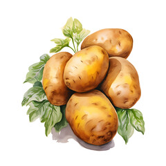 Wall Mural - digital technology potato watercolor design illustration