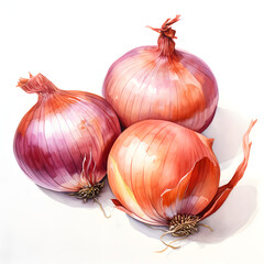 Wall Mural - digital technology onion watercolor design illustration