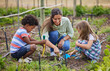 © peopleimages.com - Farm, sustainability and woman with kids, learning and environment with knowledge. People, group and child development with nature, vegetables and education with growth, countryside and agriculture