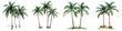© NRD - Vibrant green palm trees swaying gently in the breeze creating a serene and inviting tropical paradise along the shoreline