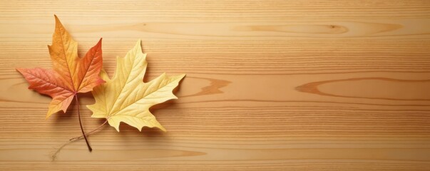 strikingly smooth maple wood; refined, natural grain , design element, texture image
