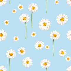 Wall Mural - seamless floral pattern with white daisy flowers on a blue background. vector floral print