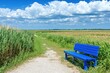 Tranquil blue bench on a sunny trail through a field