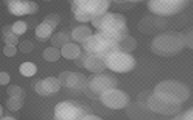 Wall Mural - abstract shadow overlay from foliage on a transparent background.
