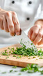 © praewpailyn - Chopping fresh cilantro with sharp knife, chef hands skillfully prepare ingredients for delicious meal. vibrant green herbs add flavor and freshness to dishes