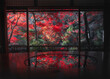 © Travel 'n' Lifestyle - View of tranquil autumn scene with vibrant red leaves and serene reflection from a window, Arashiyama, Kyoto, Japan.