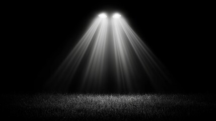 Wall Mural - a black and white photo of two spotlights shining brightly in the dark, illuminating the grass below