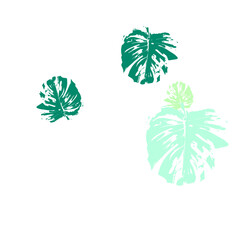 Wall Mural - set of palm trees