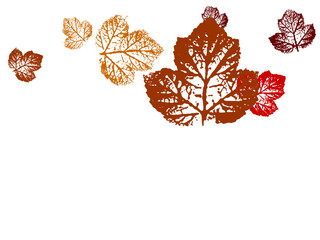 Wall Mural - Adobe Illustrator Artwork