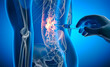 © peterschreiber.media - X ray 3D illustration with blue background of spinal drug injection for lower back pain treatment