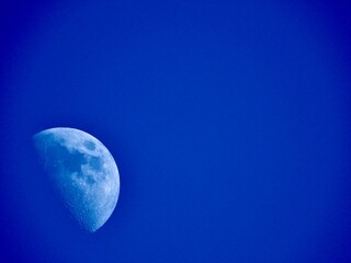 Wall Mural - Spring. The growing moon. .