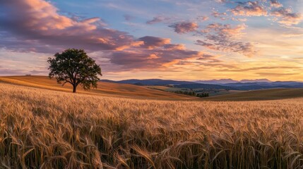 Wall Mural - Expansive fields of golden wheat sway gently in the breeze as the sun sets, casting warm hues across the landscape, with mountains in the background