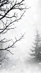Poster - Snowflakes falling on bare tree branches and a pine tree in a winter forest create a serene and peaceful atmosphere