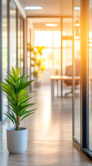 Poster - Warm sunlight streaming through a window, highlighting a vibrant potted plant in a sleek, modern office corridor