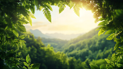 Poster - Green leaves framing mountain valley sunrise, highlighting golden morning light with tranquil natural scenery