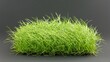 © phy - Fescue plant, isolated, food, grass, herb, nature, fresh, white, leaf, vegetable, dill, healthy, spice, closeup, spring, ingredient, garden, organic, growth, salad, cress, green, nobody, bunch, moss