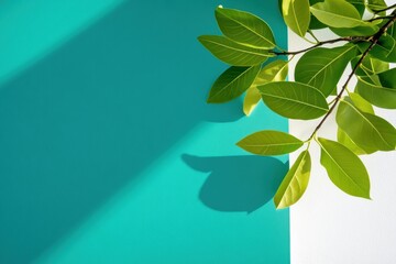 Poster - Minimalist Green Design Vibrant Botanical Shadow Play Showcasing Sustainable Wellness Aesthetics and Contemporary Eco-Conscious Visual Storytelling