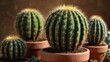 © Future Blueprint - Small cactus in a pot with sharp thorns and a natural desert vibe