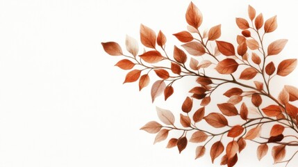 Fototapete - Delicate Autumn Leaves in Warm Tones on a Light Background for Creative Projects