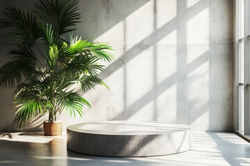Leinwandbilder - Modern indoor space with minimalistic round platform and lush green plant illuminated by natural light
