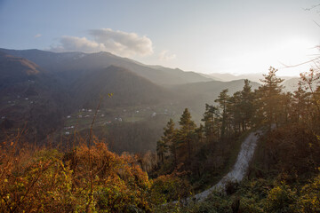 Wall Mural - beautiful sunny landscape of mountains, river and trees in variaki, georgia on the background of blu