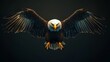 © VIKTAR - High-definition 8K image of an eagle in flight available as a stock photographic wallpaper