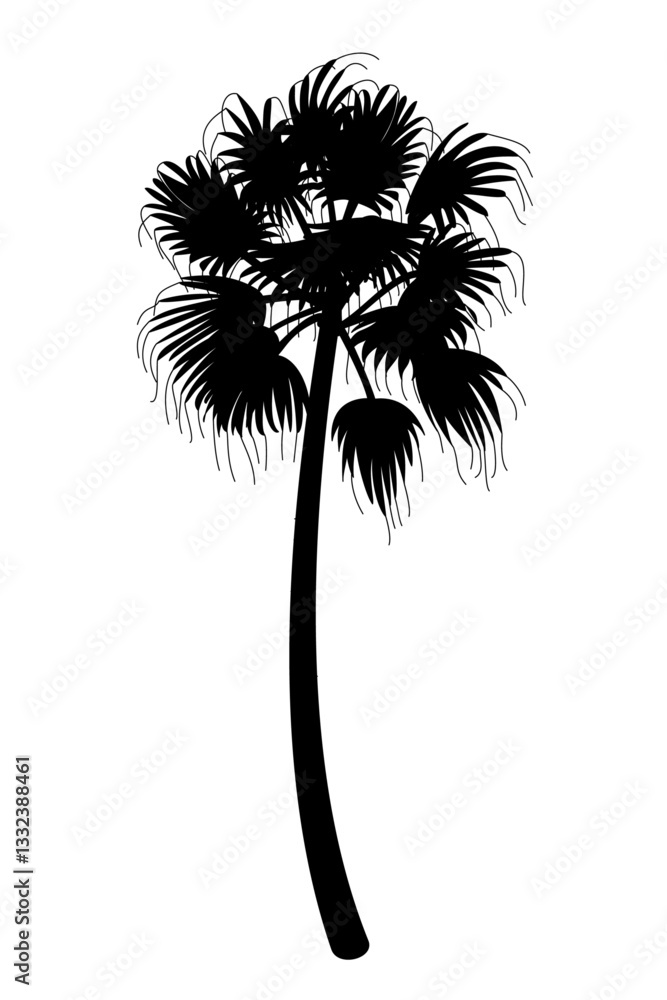 vector black palm tree. clip art isolated on transparent background ...