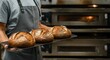 © Postmodern Studio - Baker holding freshly baked sourdough bread in bakery kitchen