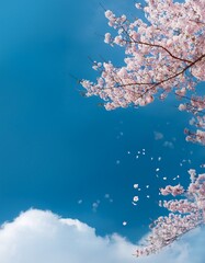 Fototapete - 淡いブルーの空と薄く漂う雲に舞う桜の花びら。一輪の桜が寄り添い、左側の広いコピースペースが開放感を与えるデザイン。
