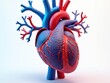 © Leonardo - Ilustración médica en 3D que muestra la intrincada red de arterias y venas del corazón humano en vibrantes azules eléctricos y rojos carmesí profundos.