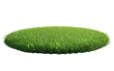 patch of fresh green lawn grass, cut out