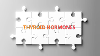 Leinwandbilder - Thyroid Hormones complex like a puzzle - pictured as word thyroid hormones on a puzzle pieces to show that thyroid hormones is complex and needs cooperating pieces that fit together. ,3d illustration