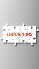 Leinwandbilder - Endorphins complex like a puzzle - pictured as word endorphins on a puzzle pieces to show that endorphins is complex and needs cooperating pieces that fit together. ,3d illustration
