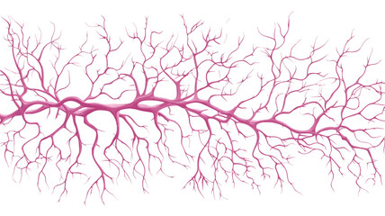 The image showcases a horizontally oriented abstract illustration. It features a network of thin, pink lines branching out from a central thicker line, resembling a vein or capillary system. The