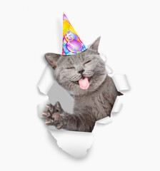 Aufkleber - Happy cat with tongue out wearing party cap looking through a hole in white paper
