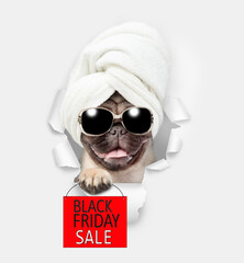 Fototapete - Smiling pug puppy with towel on it head looking through a hole in white paper and showing signboard with labeled 