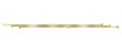 © Ruparoe  - Classic, Elegant, and Glossy Gold Text Divider – Isolated on White.