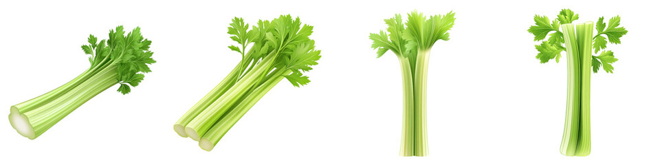 Wall Mural - Celery stalks with fresh green leaves on transparency background