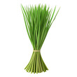 © Wisarut - lemon grass cartoon isolated on white background full depth of field