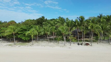 Wall Mural - aerial view of a beautiful tropical white sand beach, panglao island, philippines, 4k