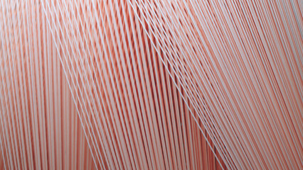 Fototapete - A pink and white striped pattern that is reminiscent of a piece of fabric. pattern is made up of many thin, white lines that are arranged in a way that creates a sense of movement and flow