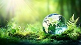 Glass globe on moss in sunlit forest.
