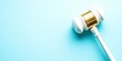 © SweetCommercial - A white gavel with gold accents sits on a blue background