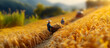© Lukasz - Golden wheat harvest at sunrise with farmers in straw hats – cinematic agriculture scene