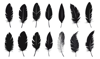 Wall Mural - minimalist black feather icons set for graphic design and decor inspiration